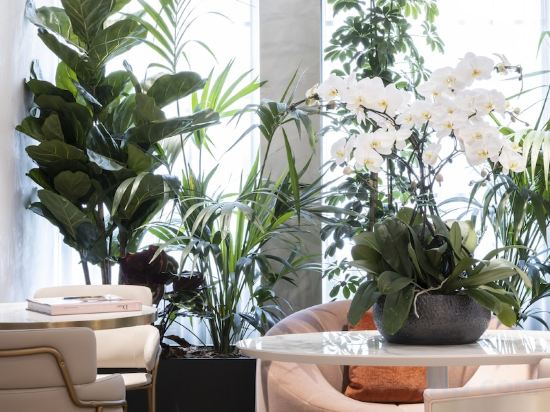 Фото Hotel Parisianer