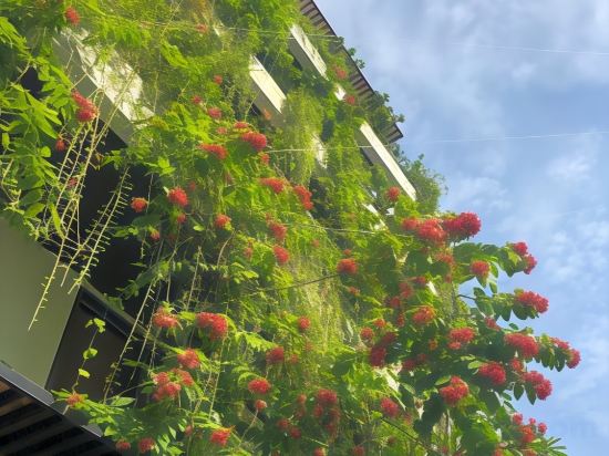 Фото John Boutique Villa