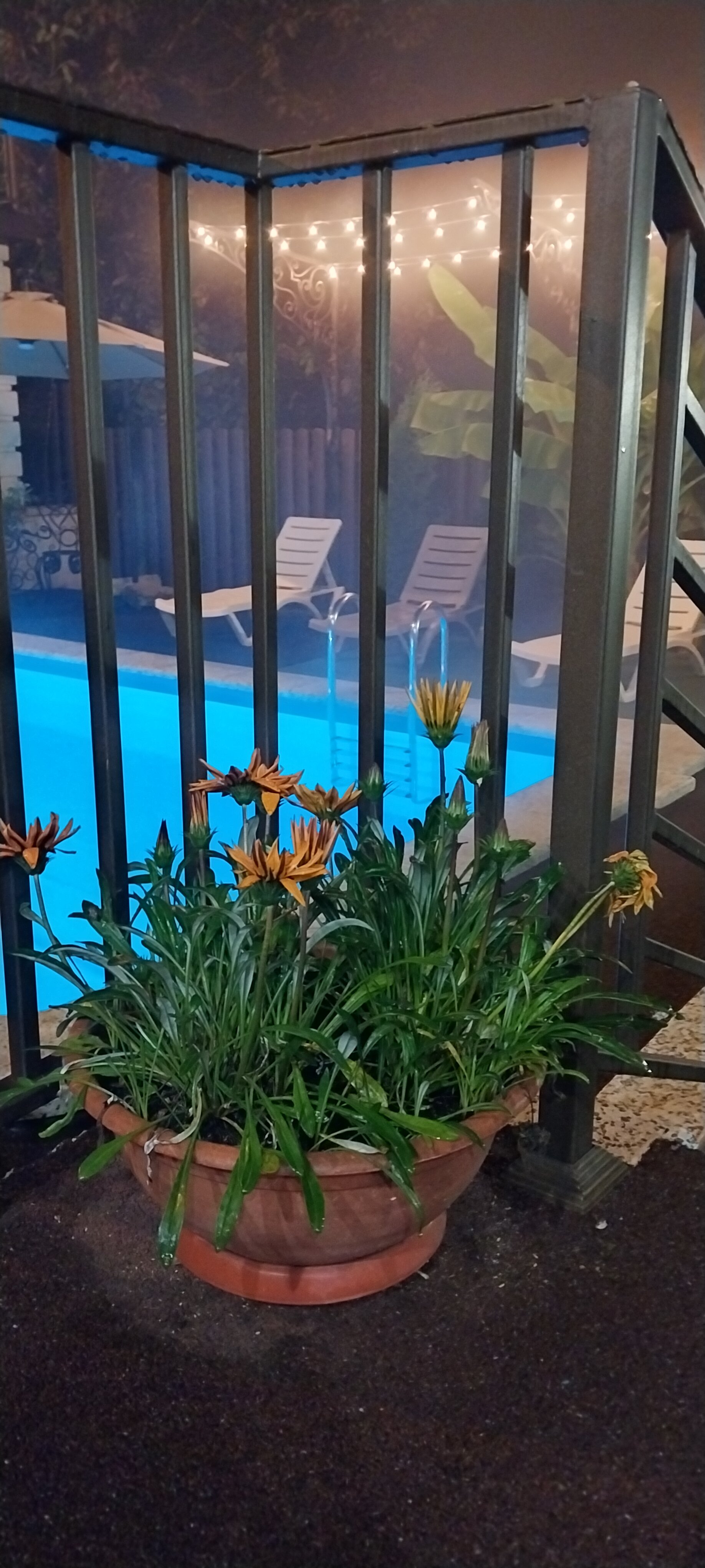 Фото Тихое Счастье