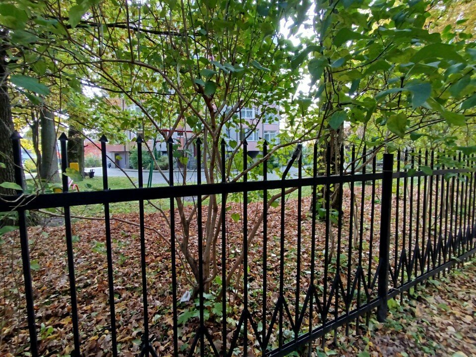 Playground Playground, Kaliningrad, photo