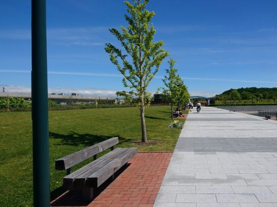 Фото Hotel Wing International Asahikawa Ekimae