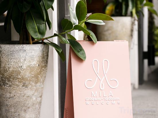 Фото 209487010076