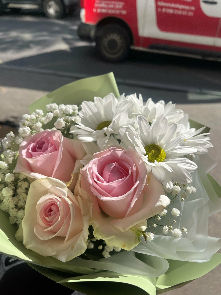 Дарья Ширяева