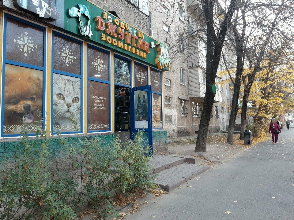 Business consulting Business Consulting, Almaty, photo