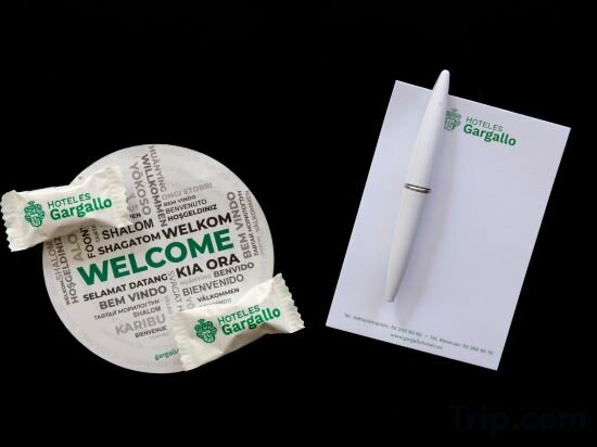 Фото Hotel Ciutadella Barcelona