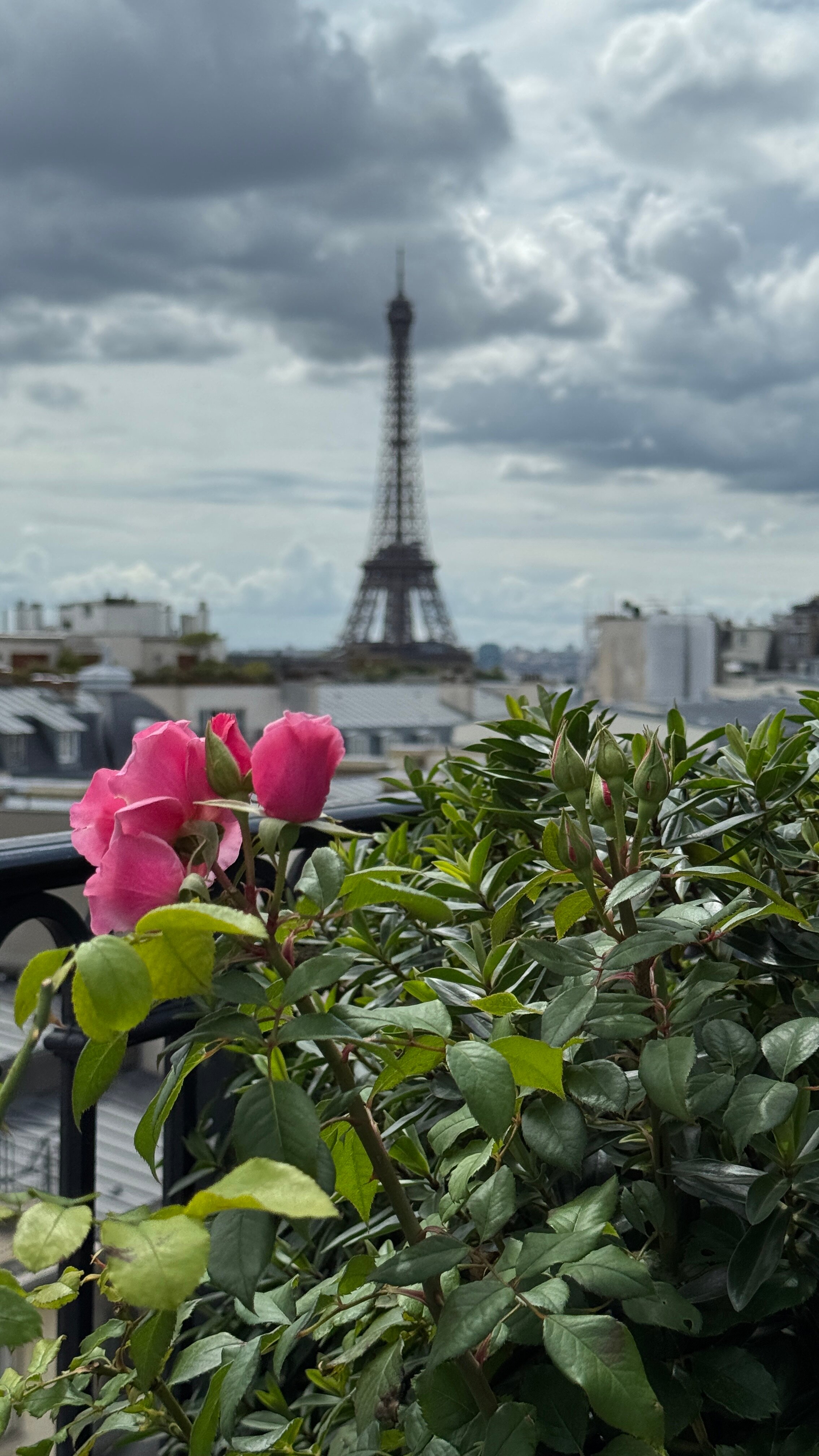 Фото The Peninsula Paris