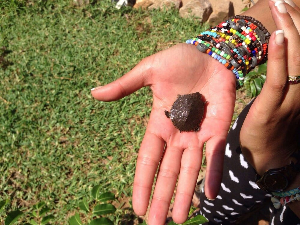 Фото Baobab Ridge Private Lodge