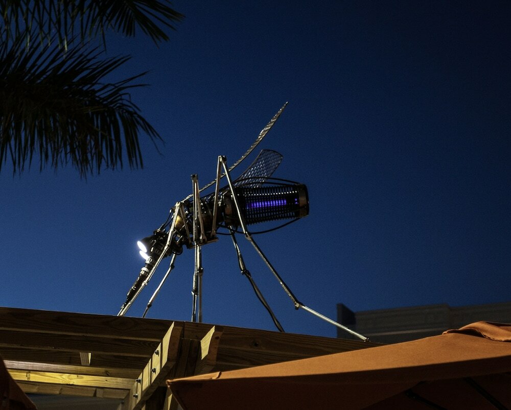 Фото TownePlace Suites by Marriott Boynton Beach