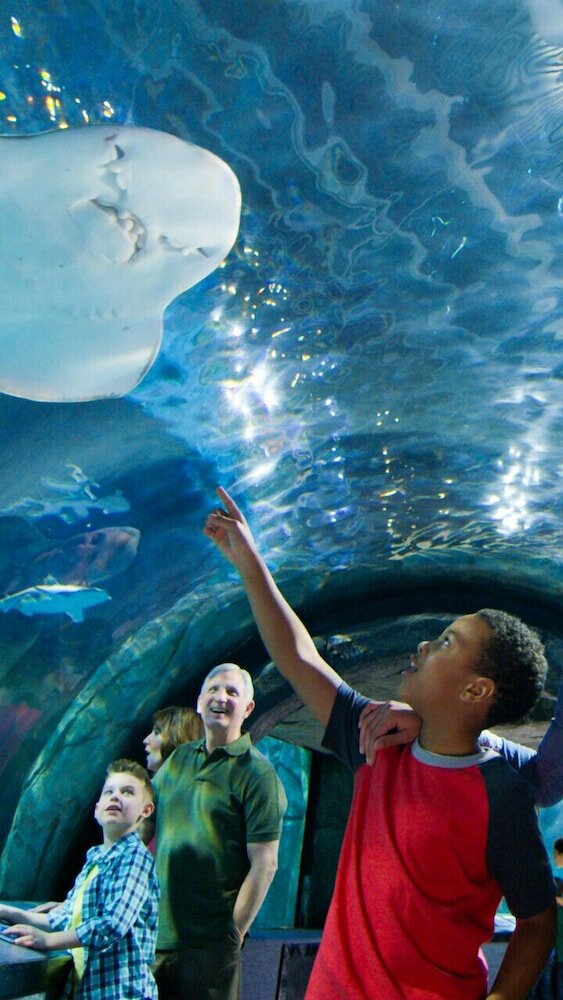 Фото Aloft Newport On The Levee