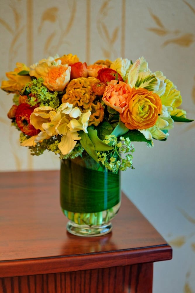 Фото Hotel Capitol