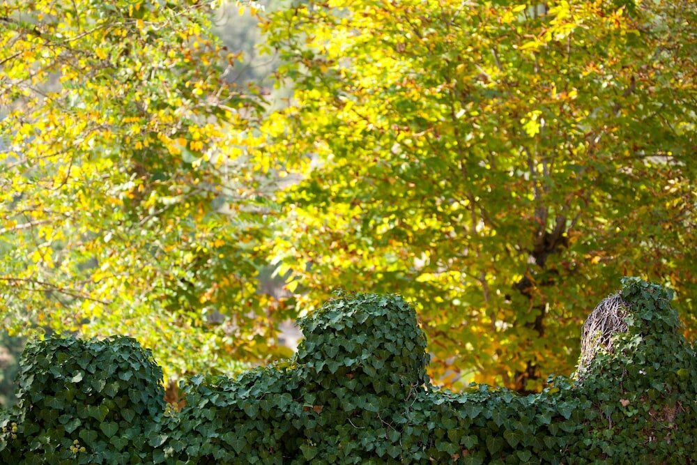 Фото Vidago Palace Hotel