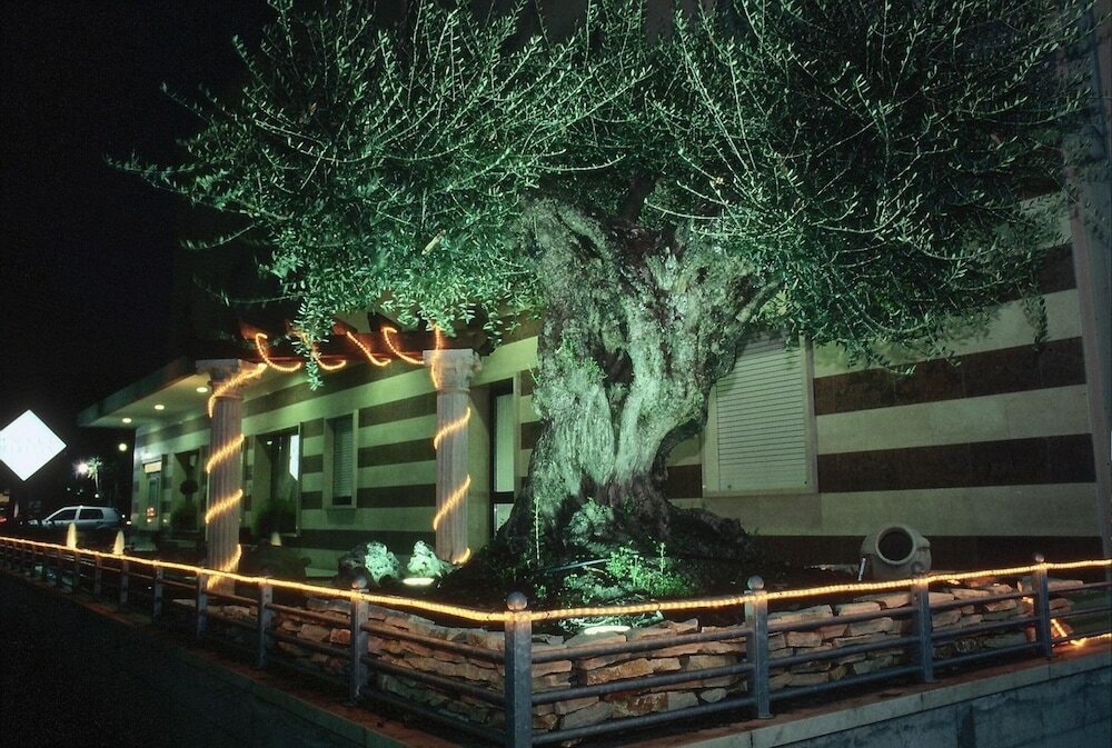 Фото Hotel Maritan