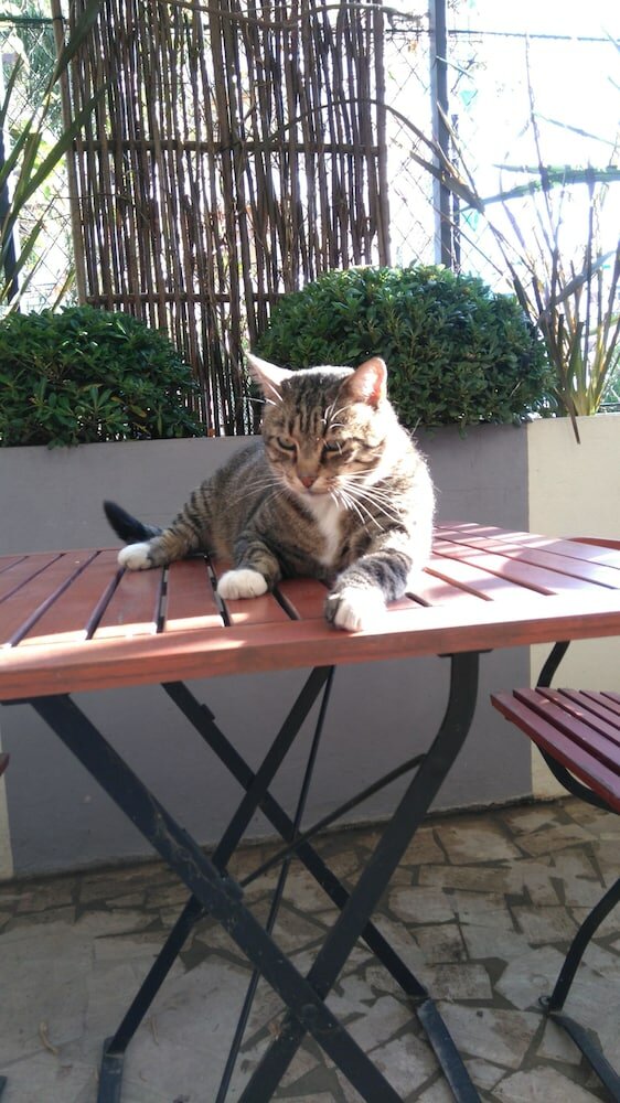 Фото Hotel Esperanto