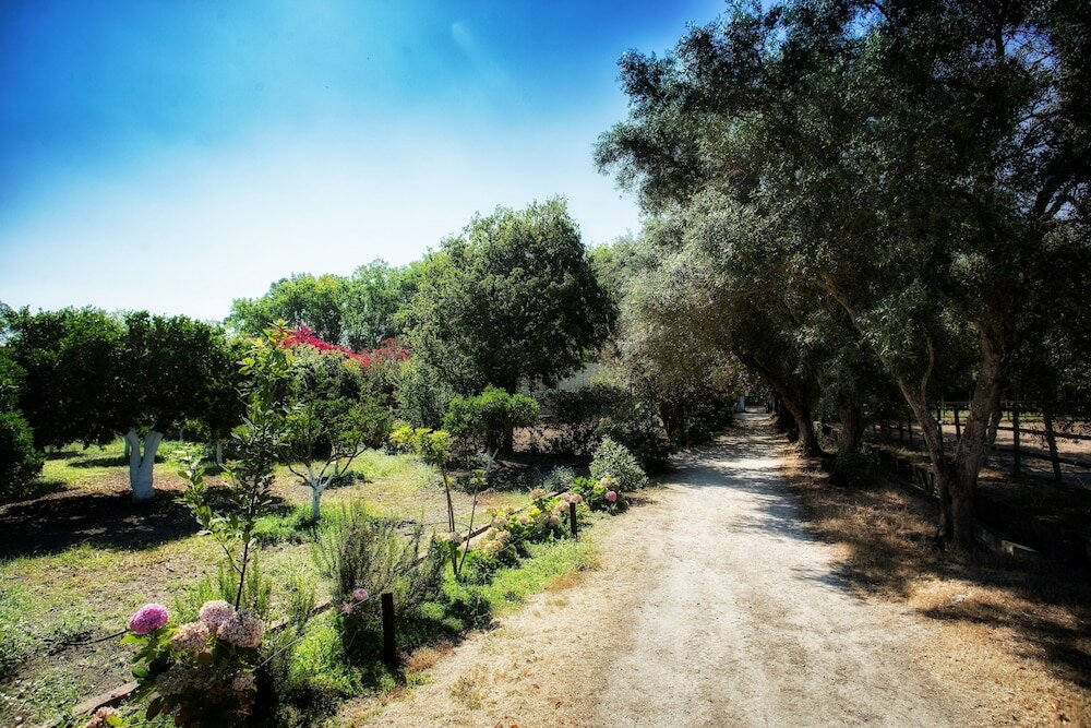 Фото Quinta da Praia das Fontes