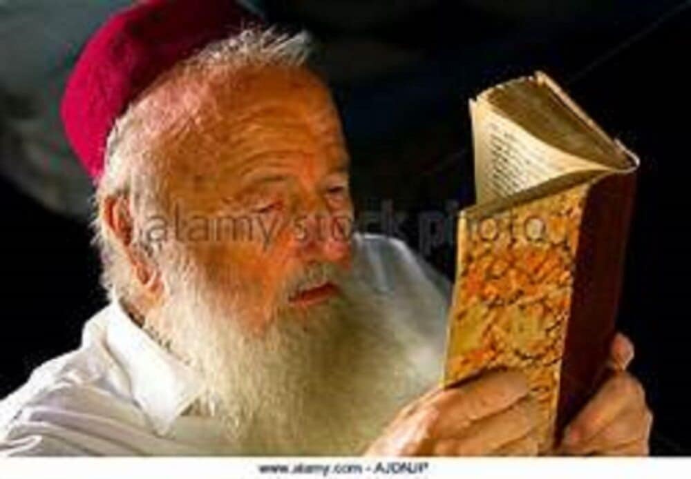 Фото Hôtel Les Palmes d'Or