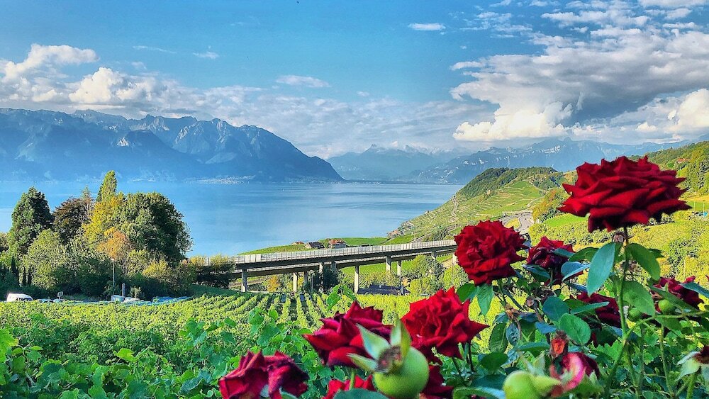 Фото Rivage Hotel Restaurant Lutry