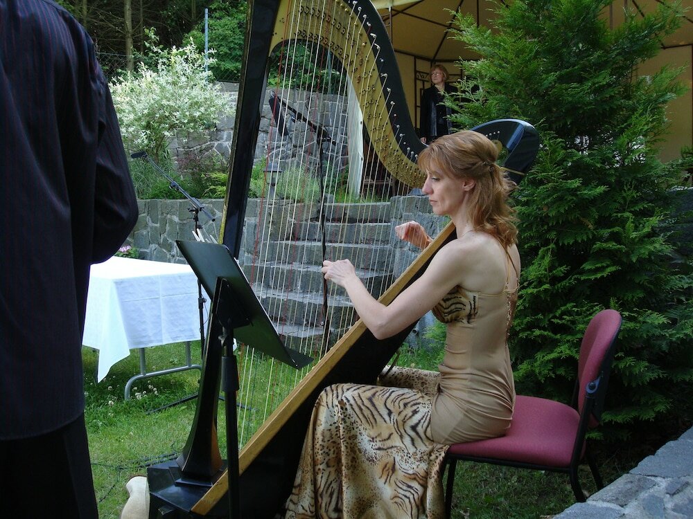 Фото Penzión Zlatý Jeleň