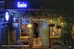 Gaia Hostel