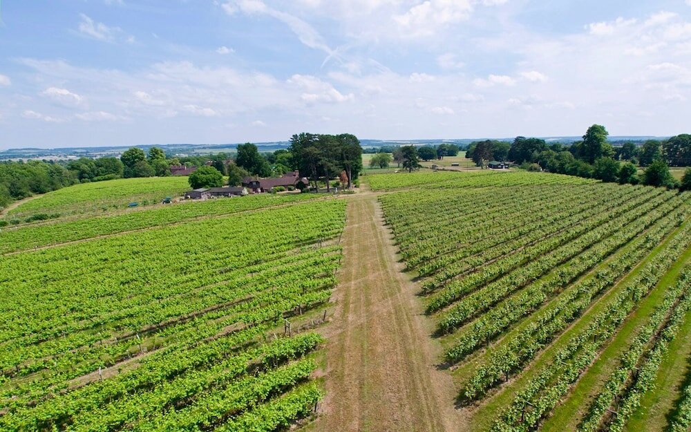 Фото Shillingford Bridge Hotel