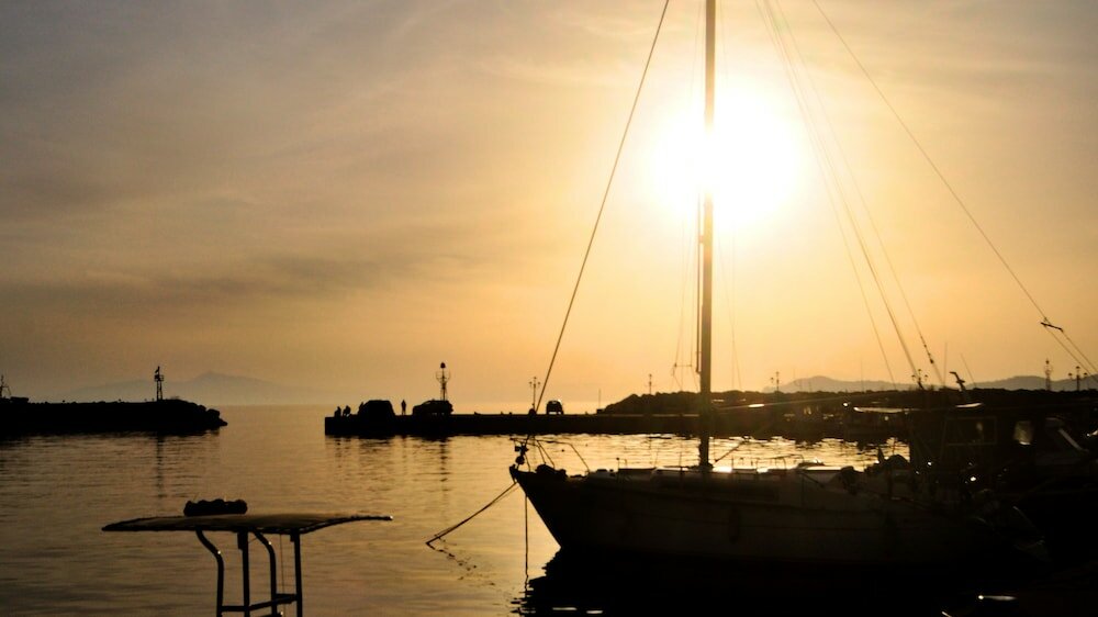 Фото Skion Palace Beach Hotel