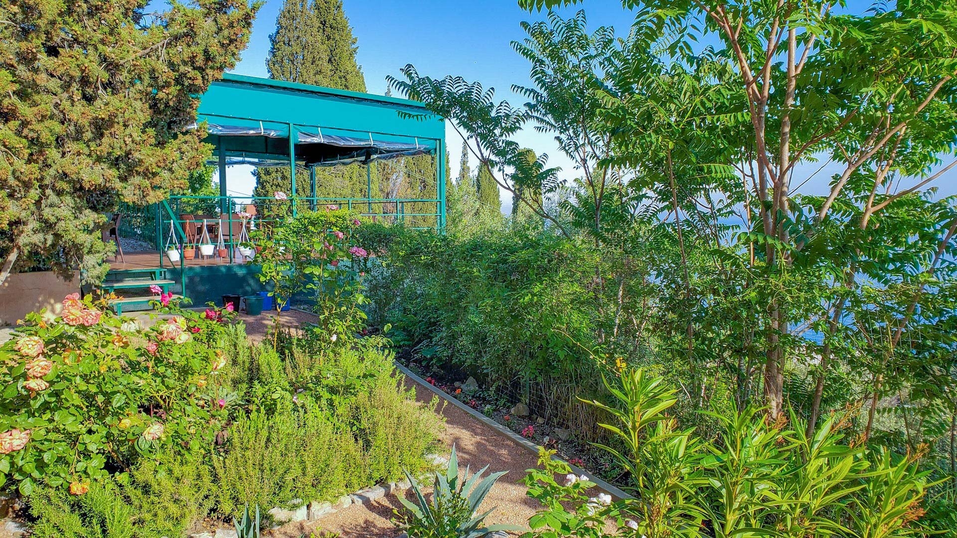 Фото Жуковка