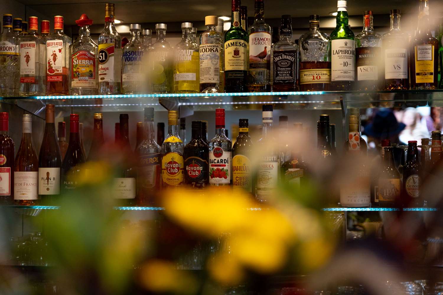 Фото Hotel Heden