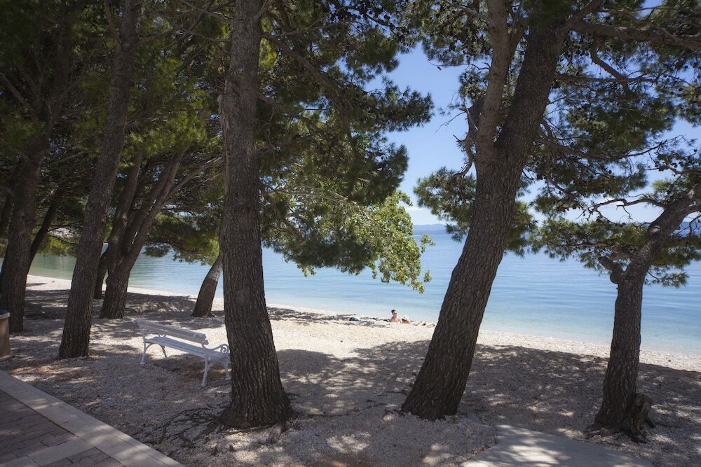 Фото Bluesun Holiday Village Afrodita