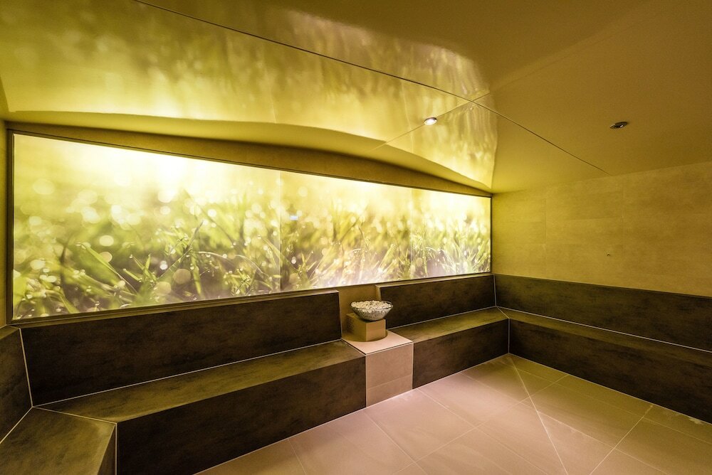 Фото Hôtel Nendaz 4 Vallées & SPA