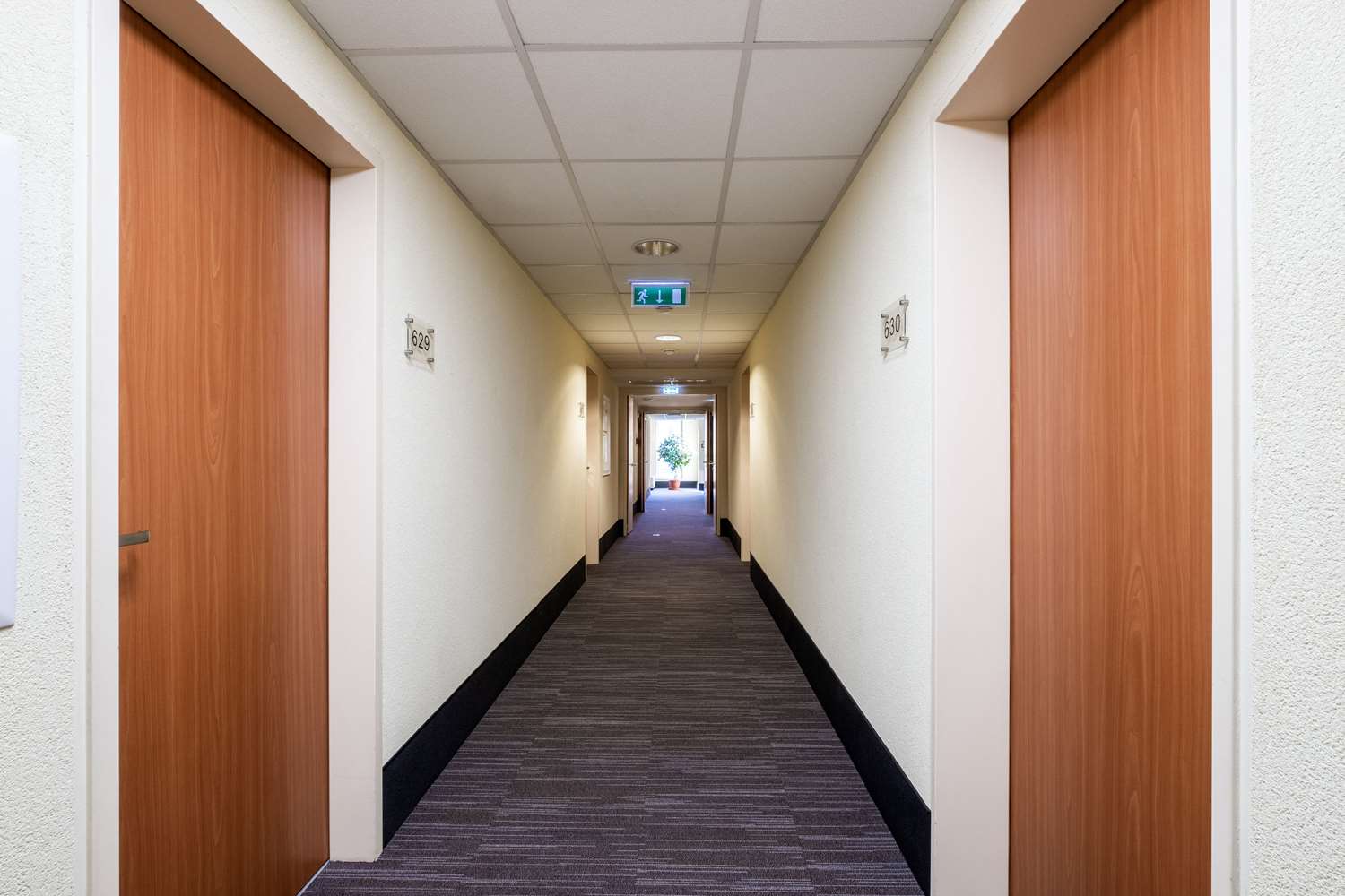 Фото City Hotel Budapest