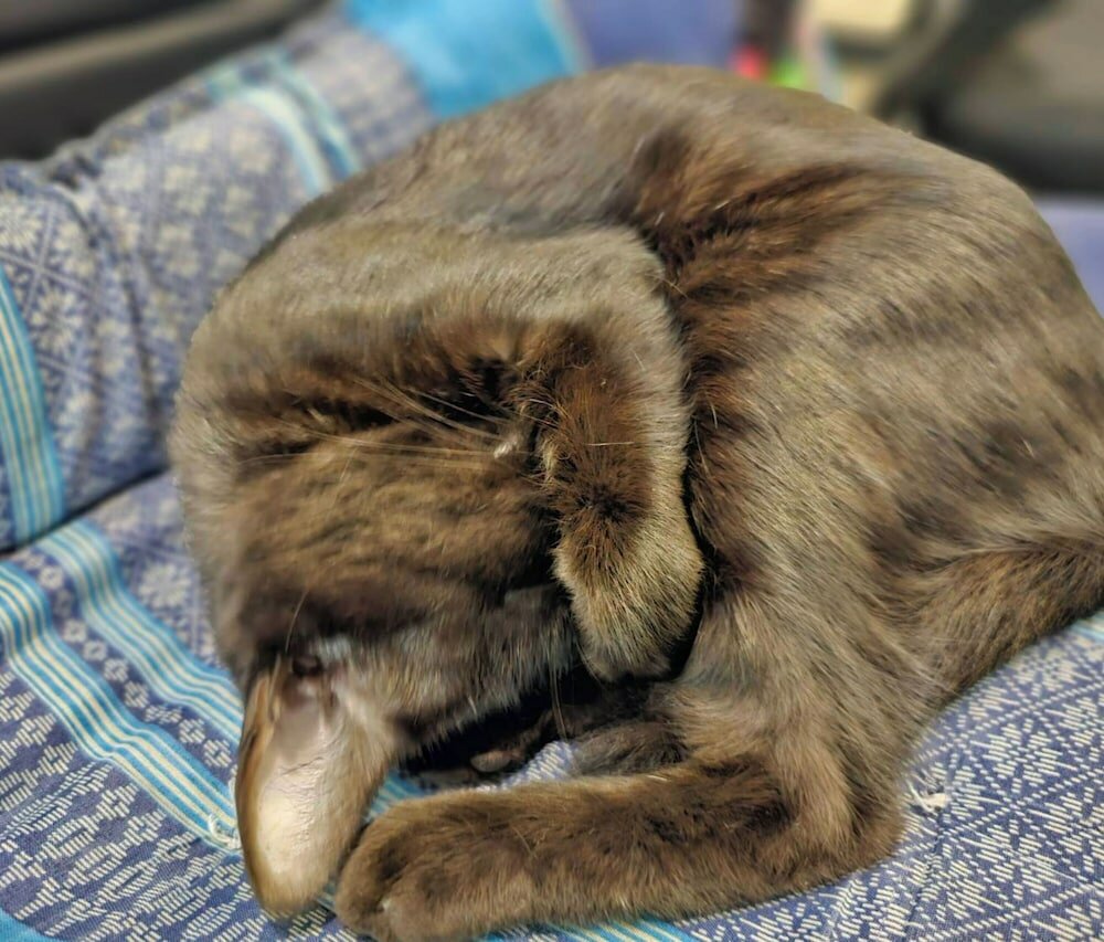 Фото Mercy Hostel