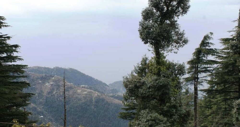 Фото Grace Mount