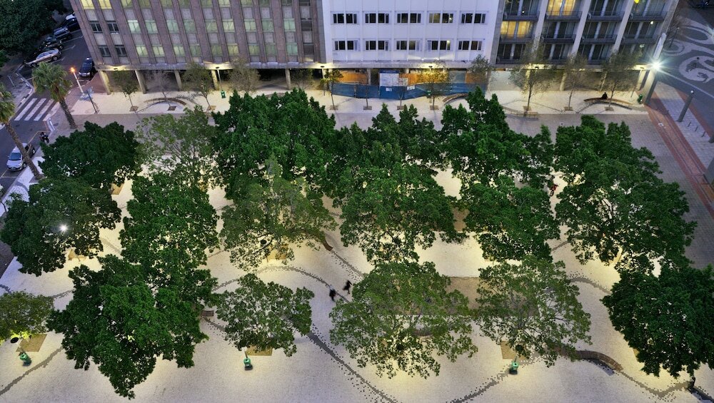 Фото Capetonian Hotel