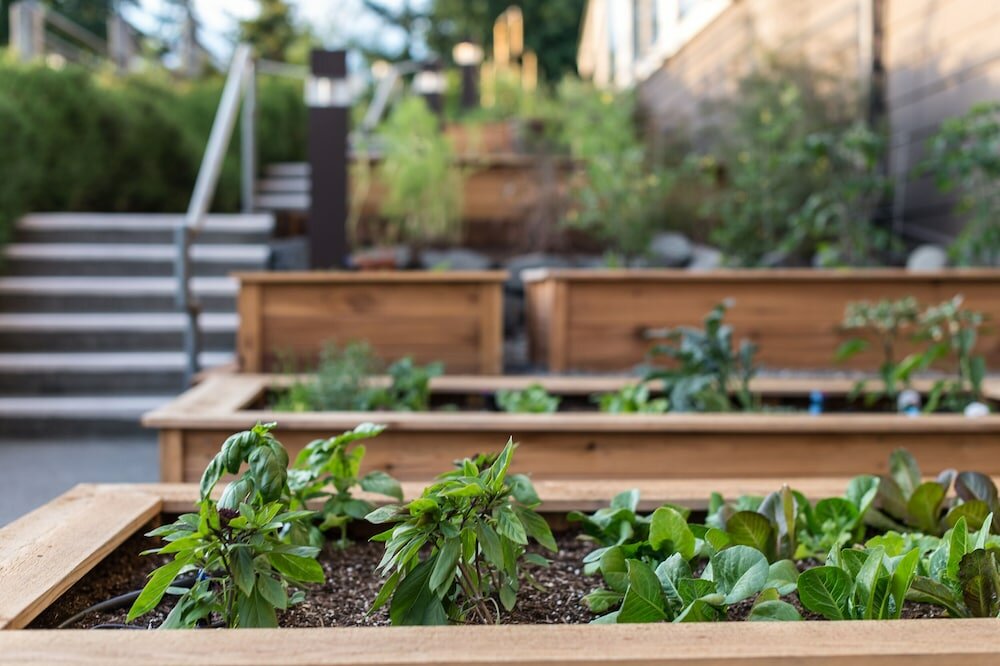 Фото Salish Lodge & SPA