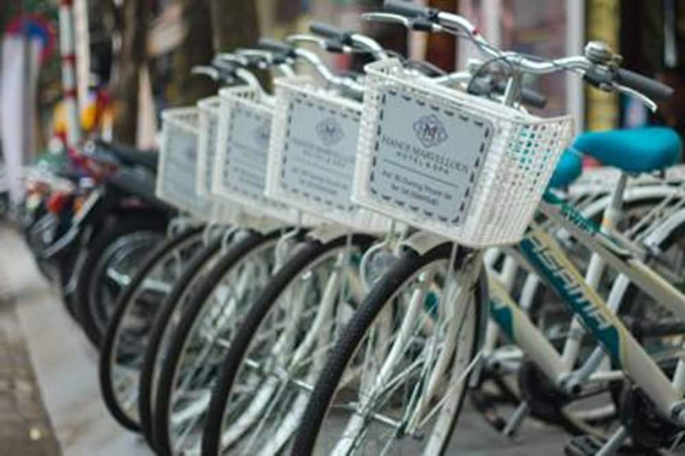 Фото Golden Art Hotel