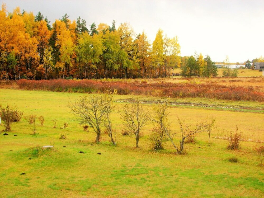 Фото Airport Hotel Mara