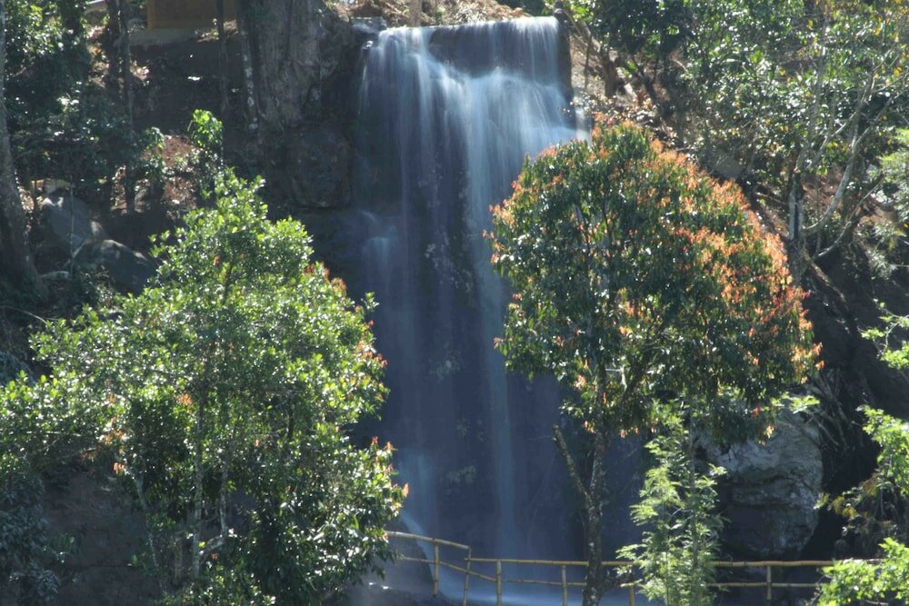 Фото Vythiri Village