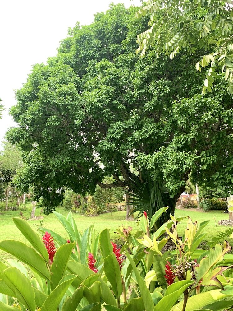 Фото Eco Hotel Green River