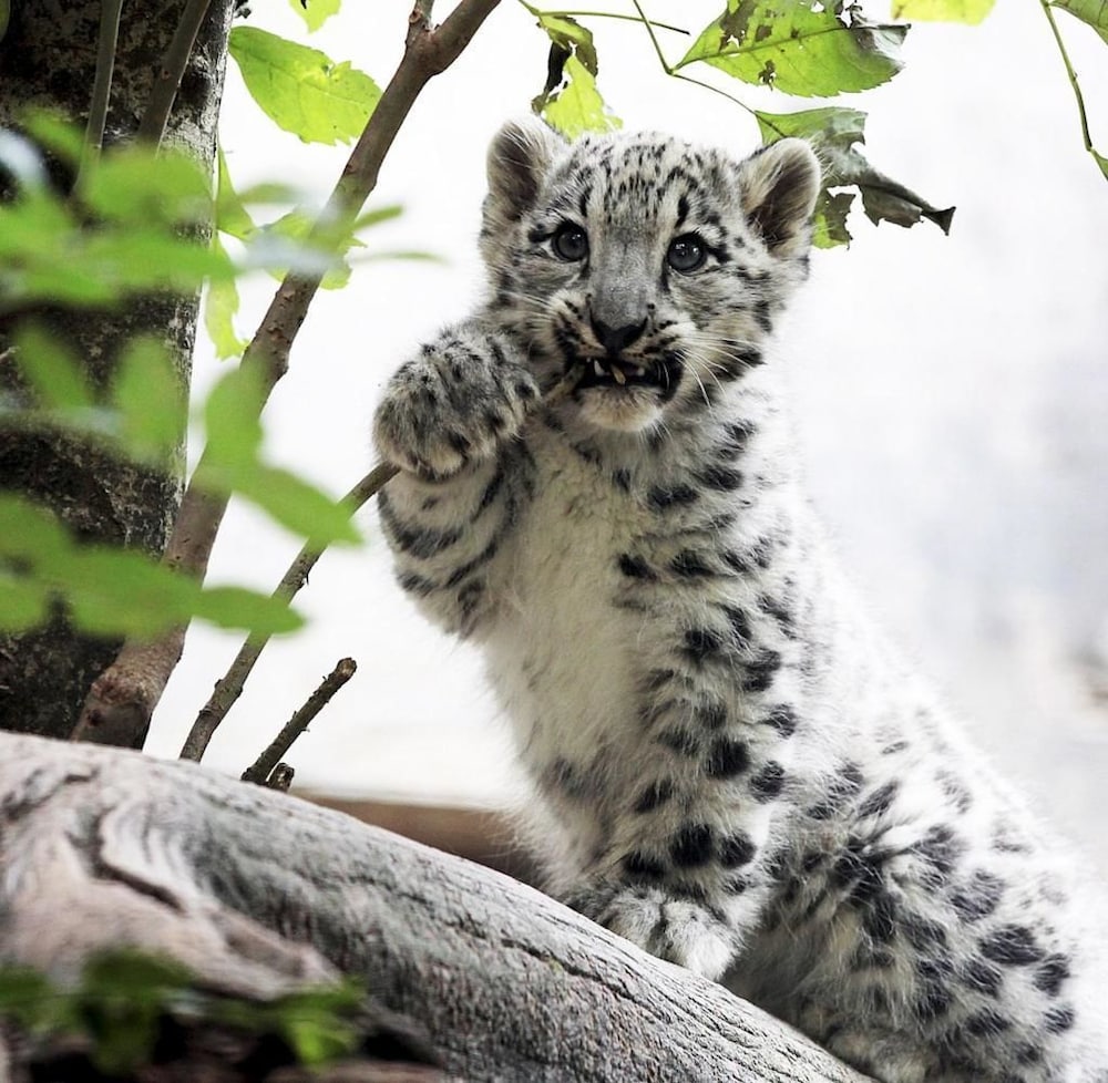 Фото Mercure Hotel Stuttgart Zuffenhausen