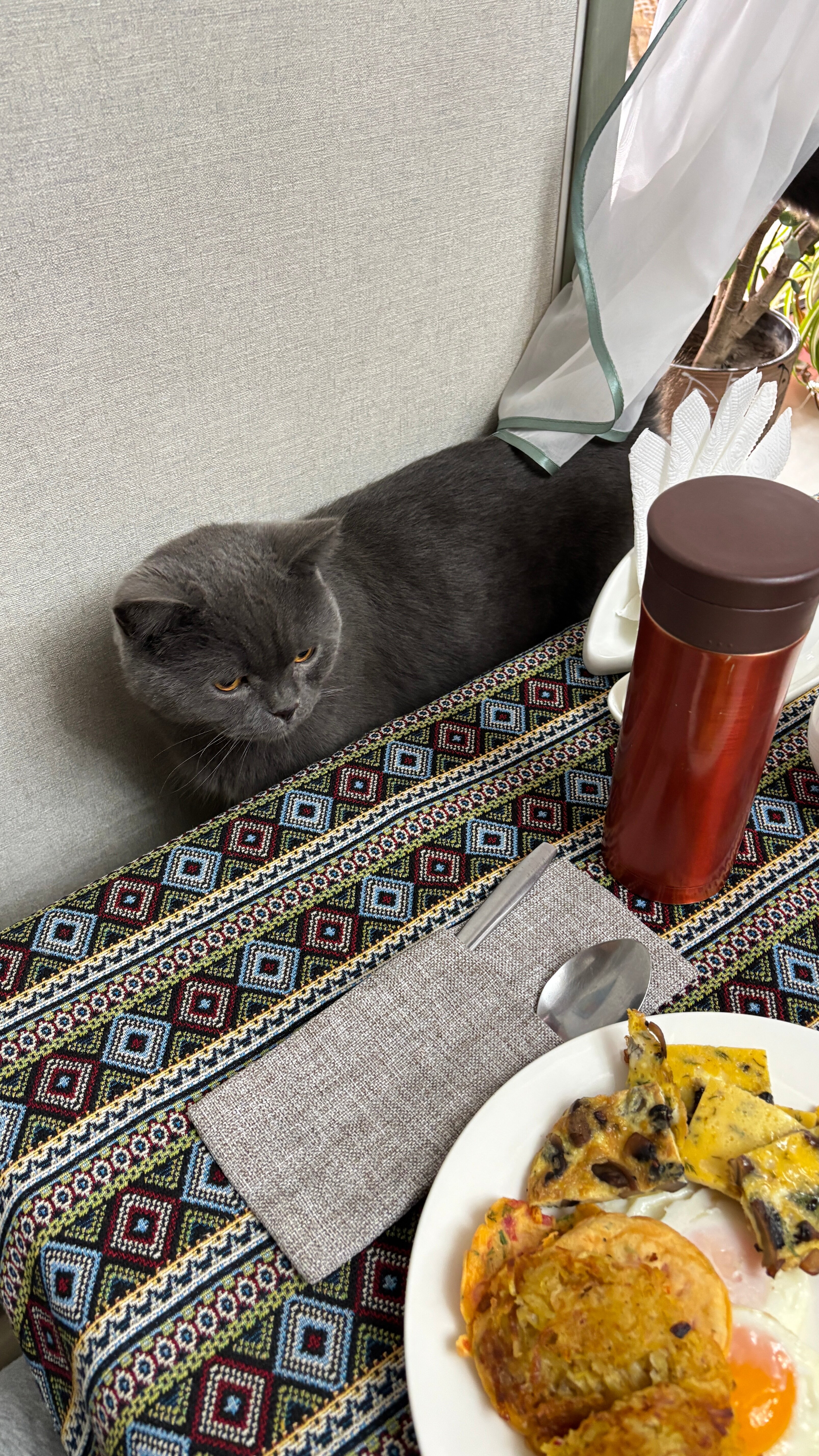 Фото Kausar Hotel