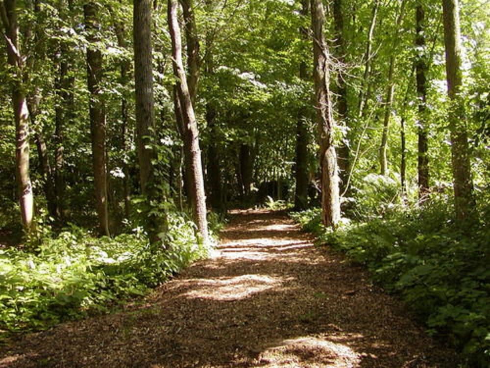 Фото The Inn on the Horse Farm