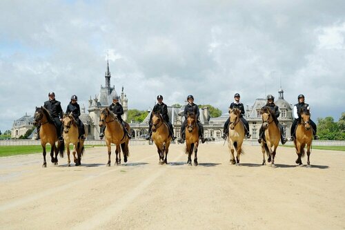 Внешний вид отеля Auberge du Jeu de Paume в Шантильи, фото 4