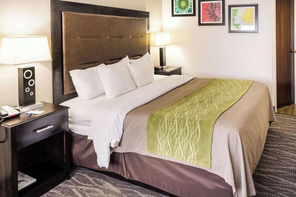 Фото Comfort Inn Downtown Charleston