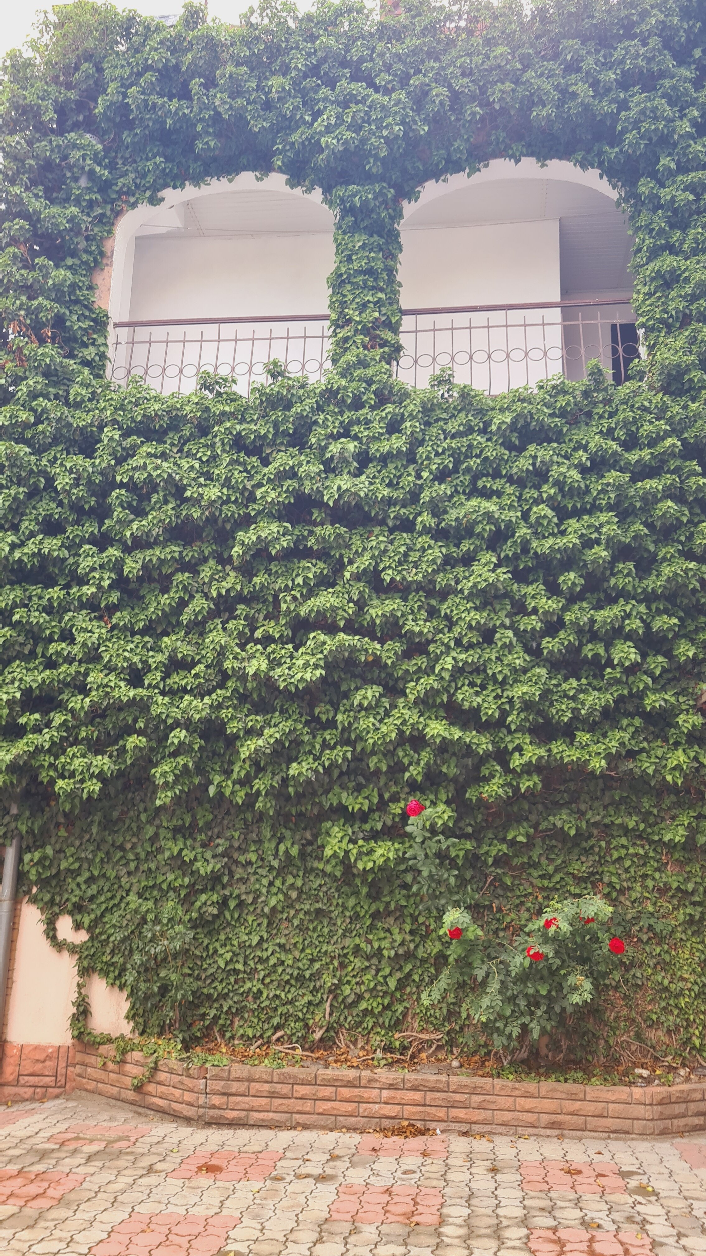 Фото Первая Линия