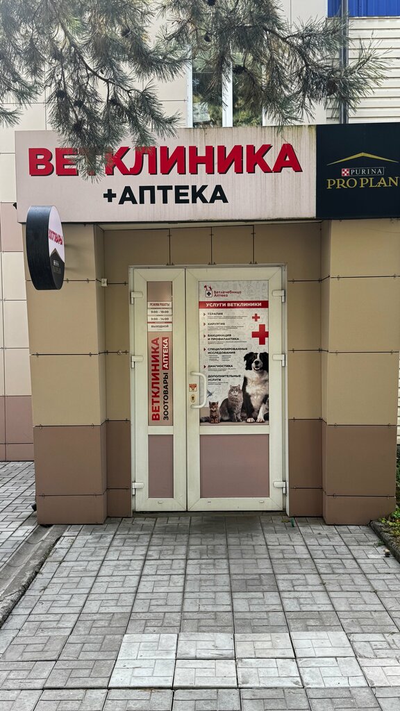 Veterinary clinic Vetlechebnitsa Ip Lyarsky V. S., Mogilev, photo