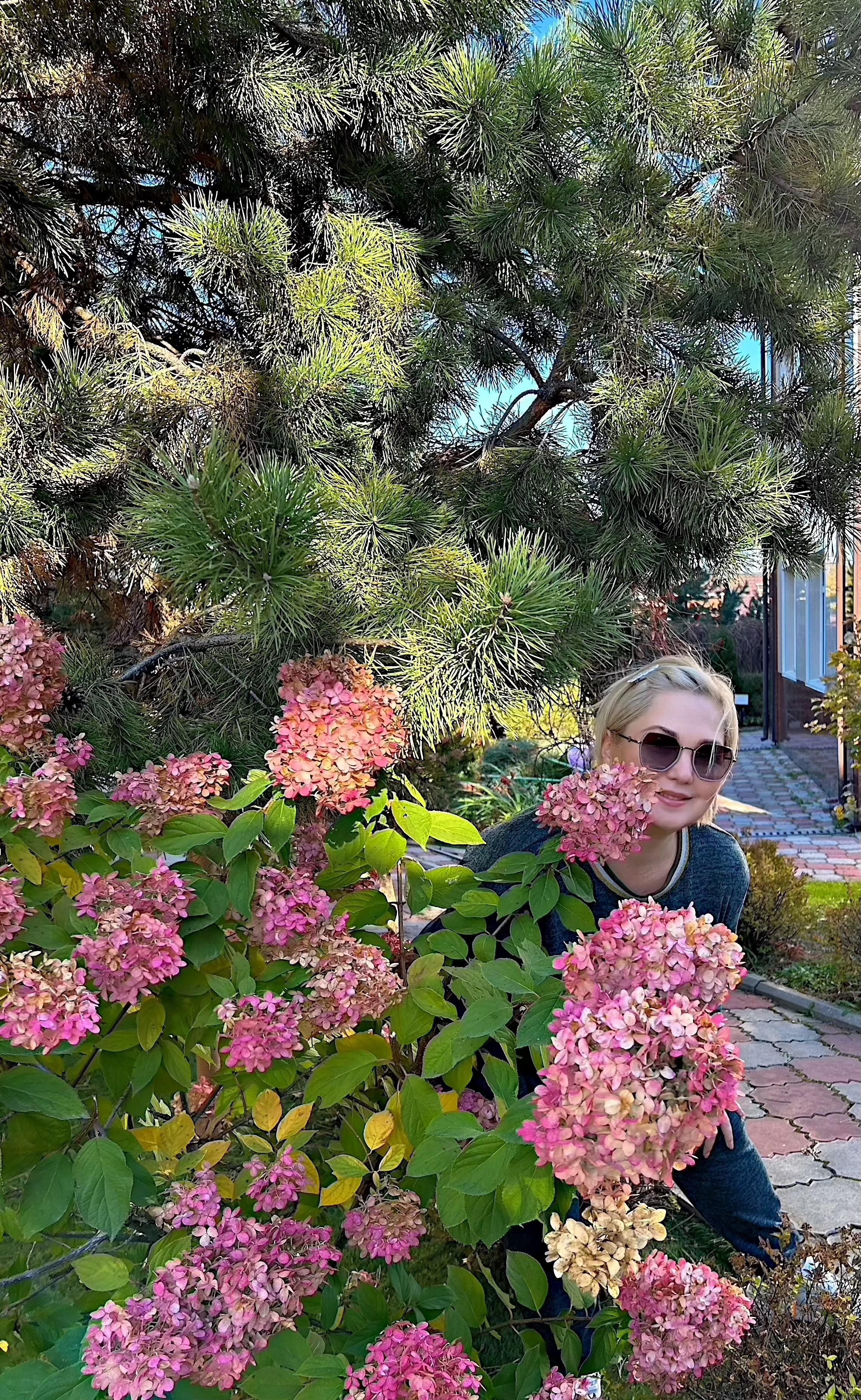 Фото Сокольники