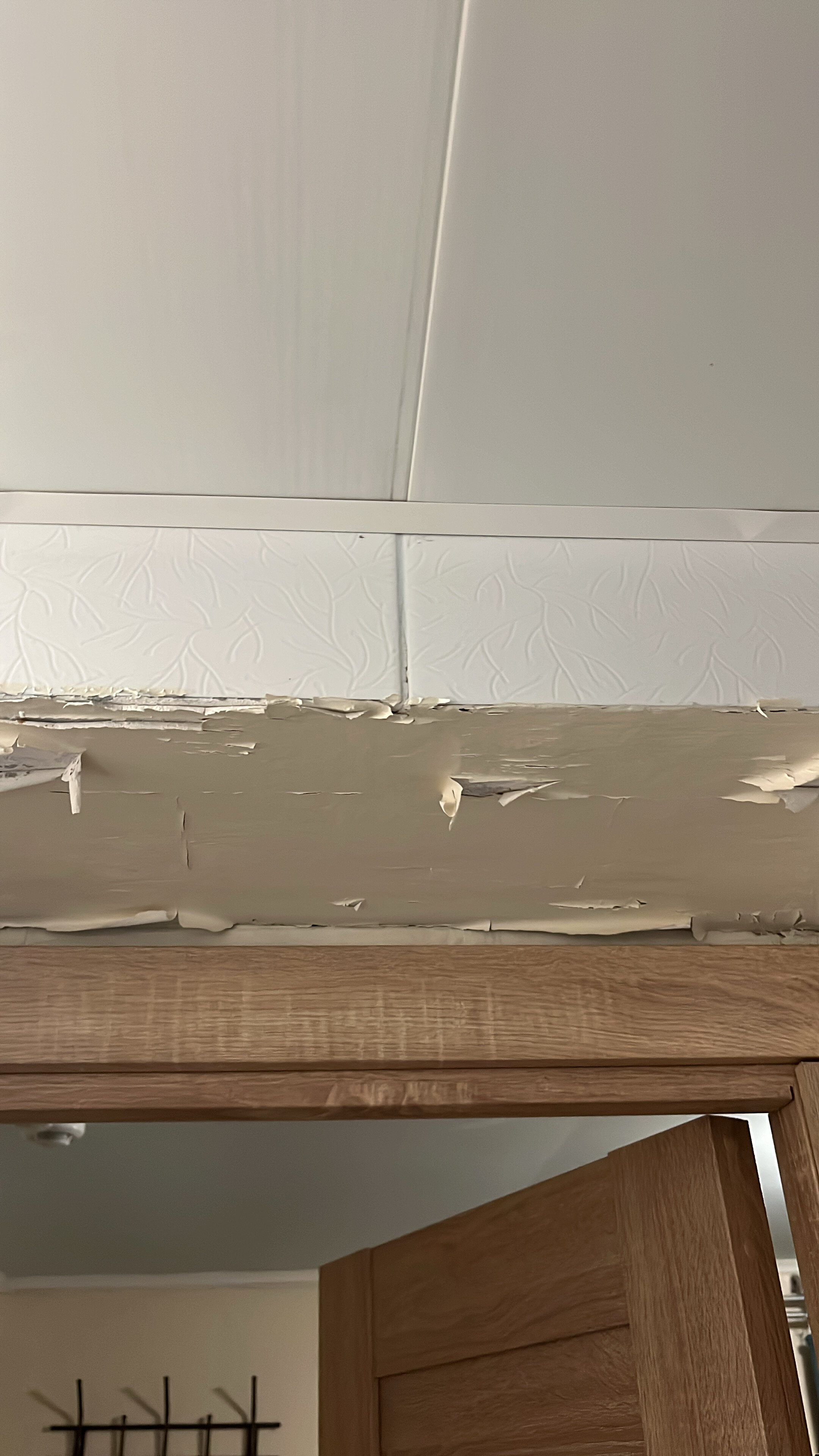 Фото Базилик