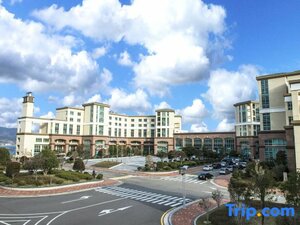 Апартаменты The Ocean Resort