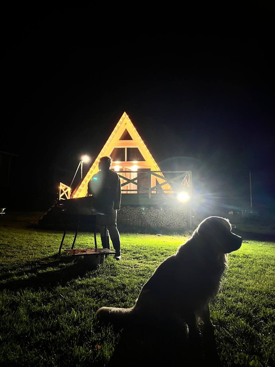 Фото Совенок