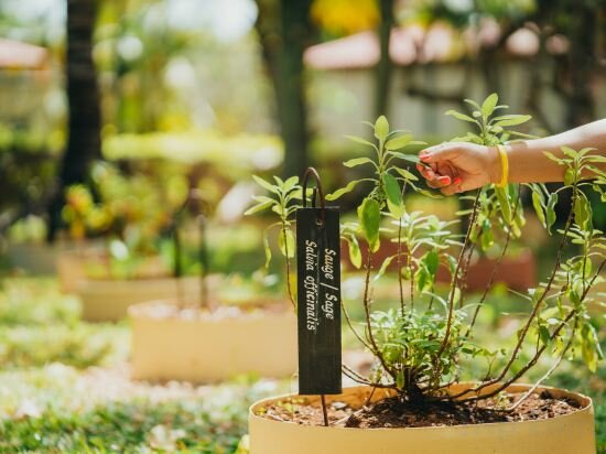 Фото Tamassa Bel Ombre