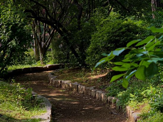 Фото Mayfield Hotel Seoul